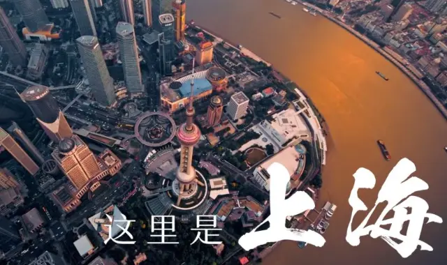 上海广富林郊野公园：松江遗址旁藏着一座“时空折叠”的秘境🌿